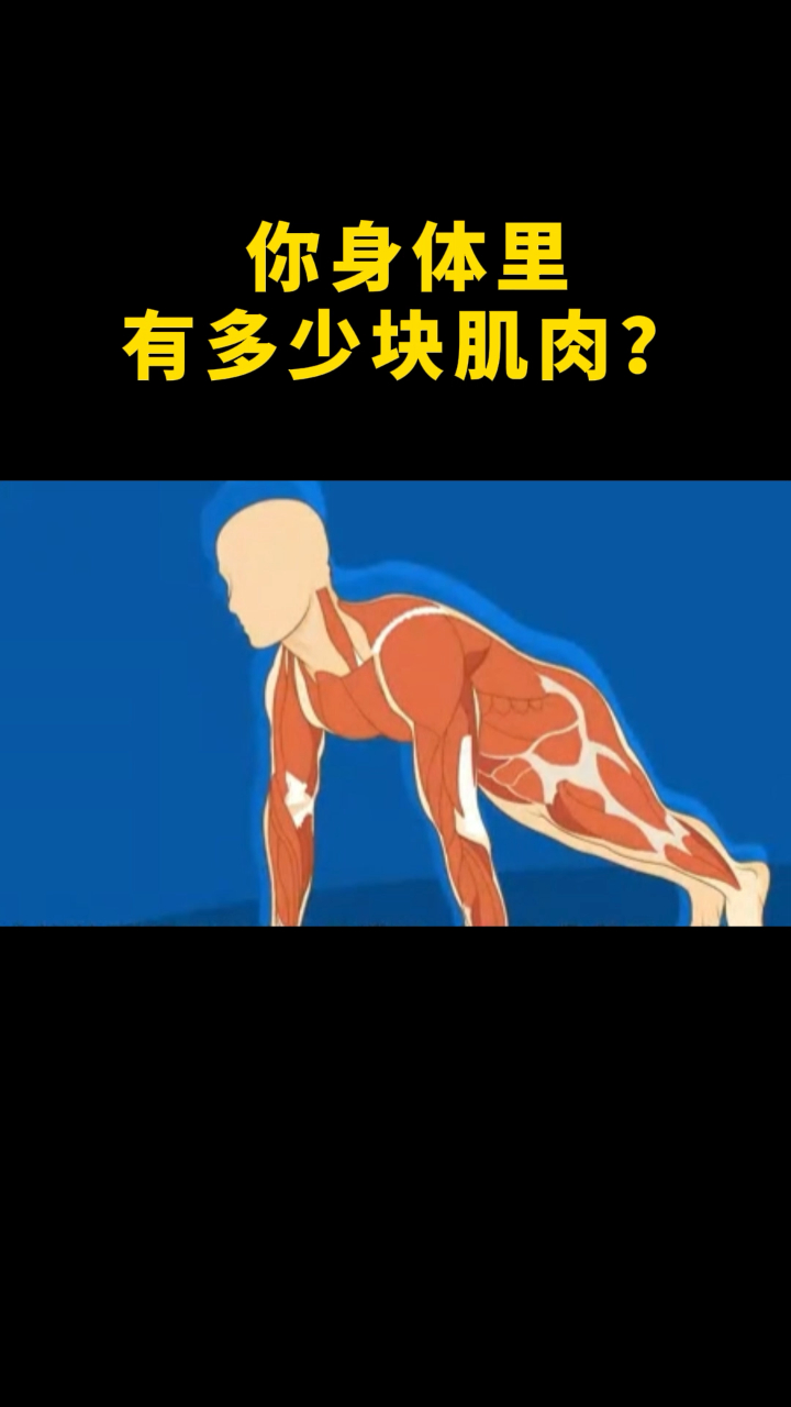 科普:你的身体里,有多少块肌肉?