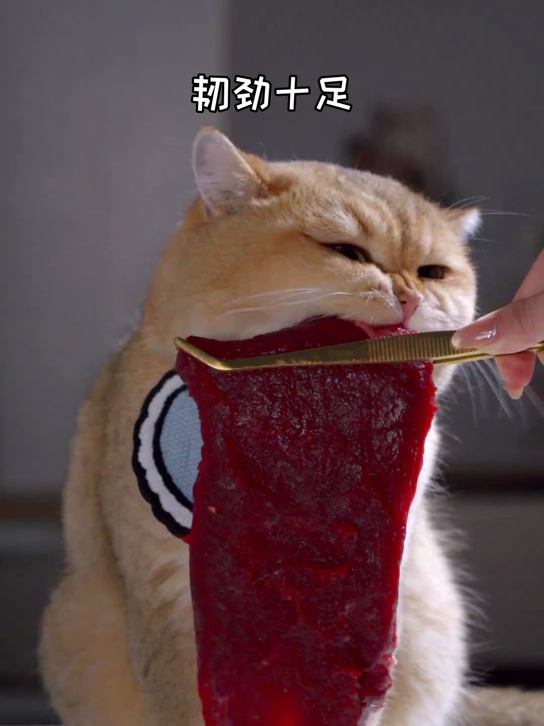 大片鸵鸟肉,超级带劲
