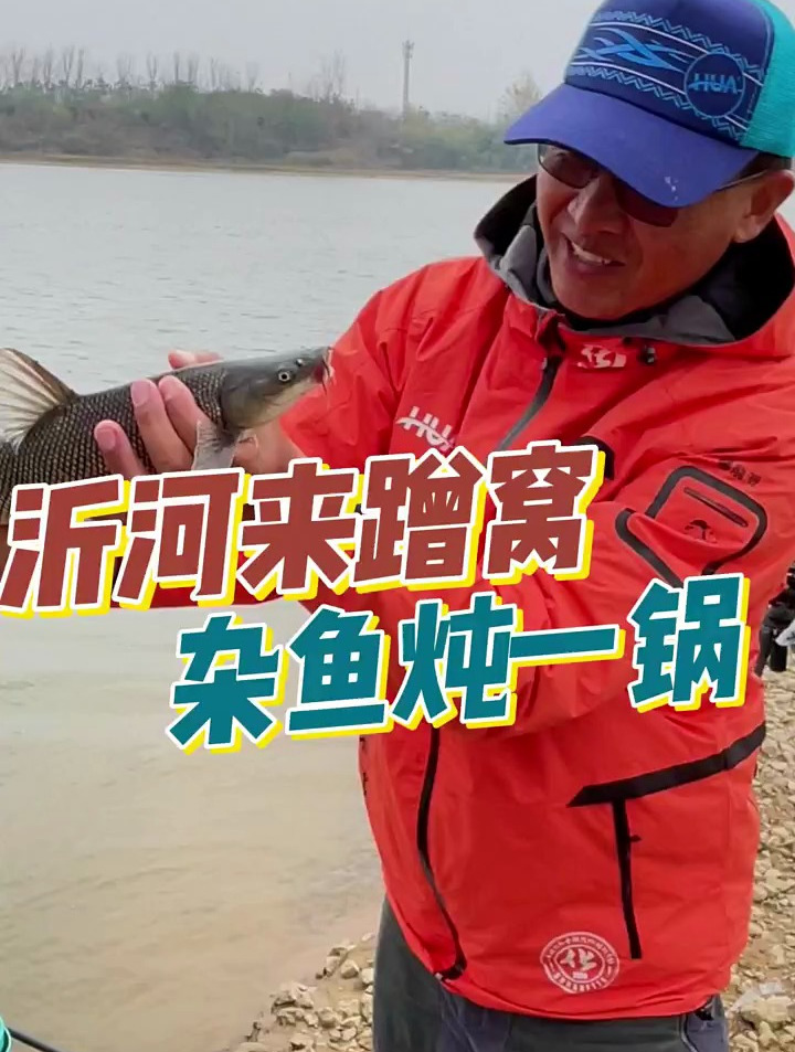 沂河来蹭窝,杂鱼炖一锅 钓遍五湖四海[gf]a0[/gf] 游钓中国[gf]a0[/gf]
