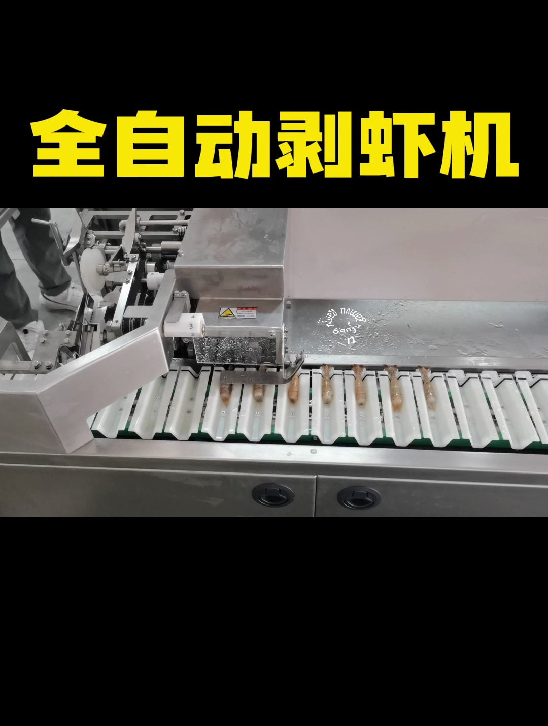 全自动剥虾机一机多用,可实现多种加工形式