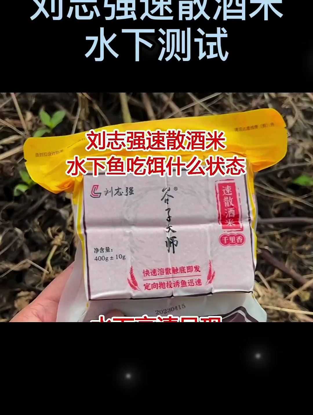 刘志强的速散酒米,水下鱼吃饵是什么状态?水下测试一目了然!