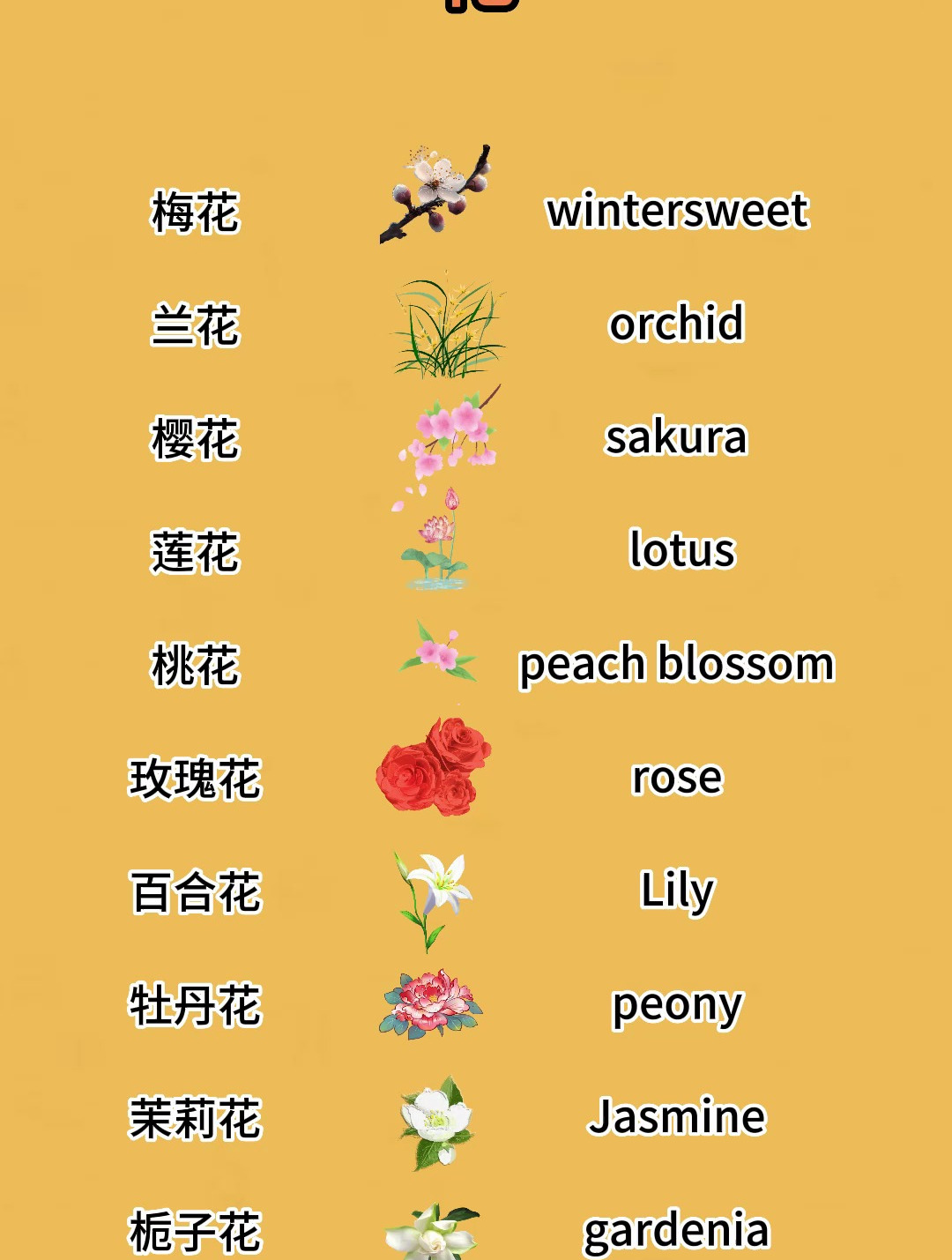 各种花类英文单词