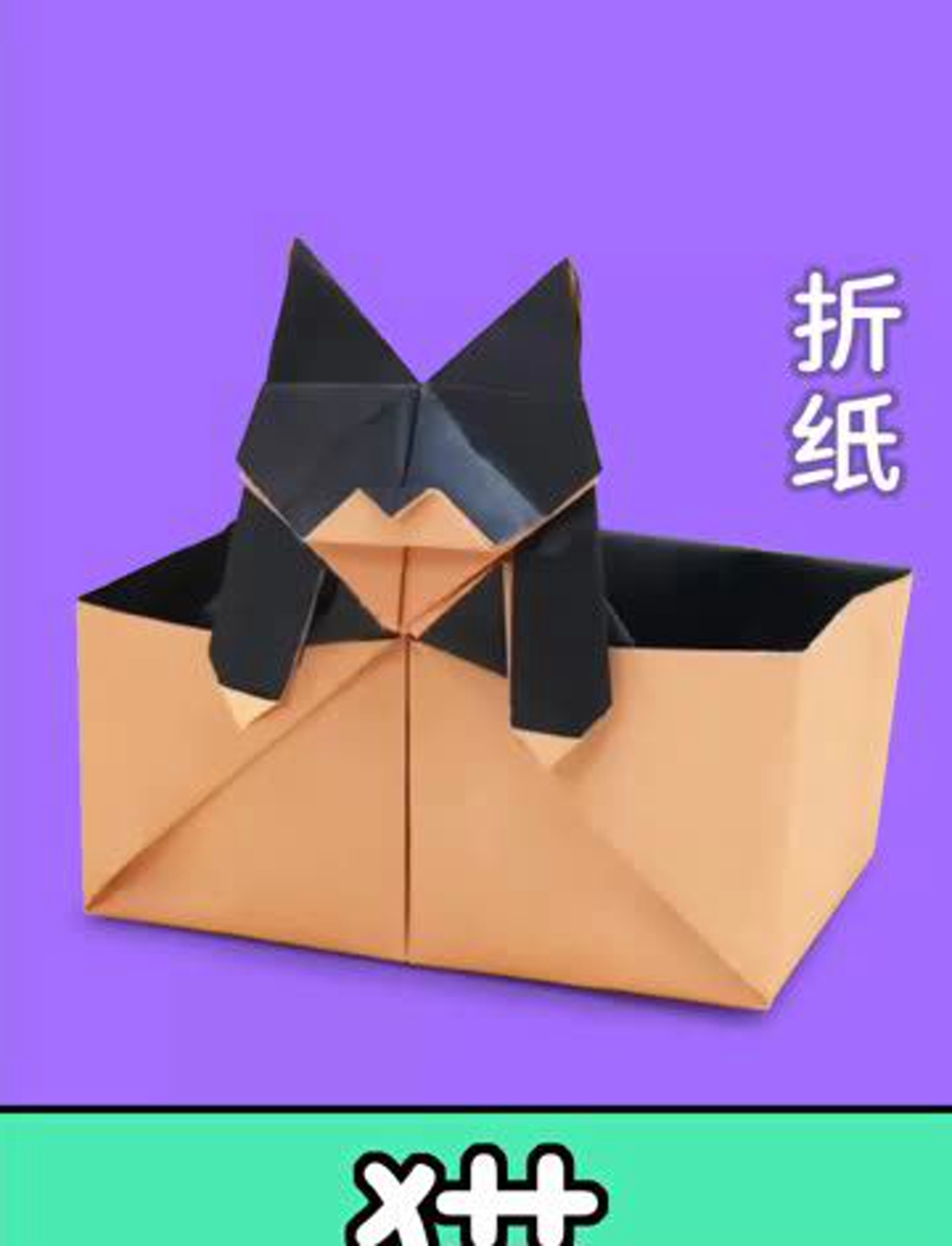折一只趴在篮子里的小猫