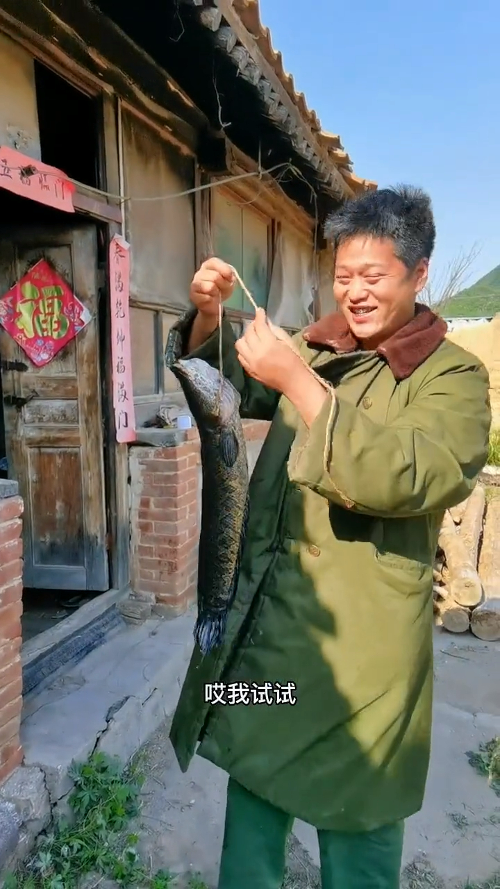 黑鱼刺身是真的好吃