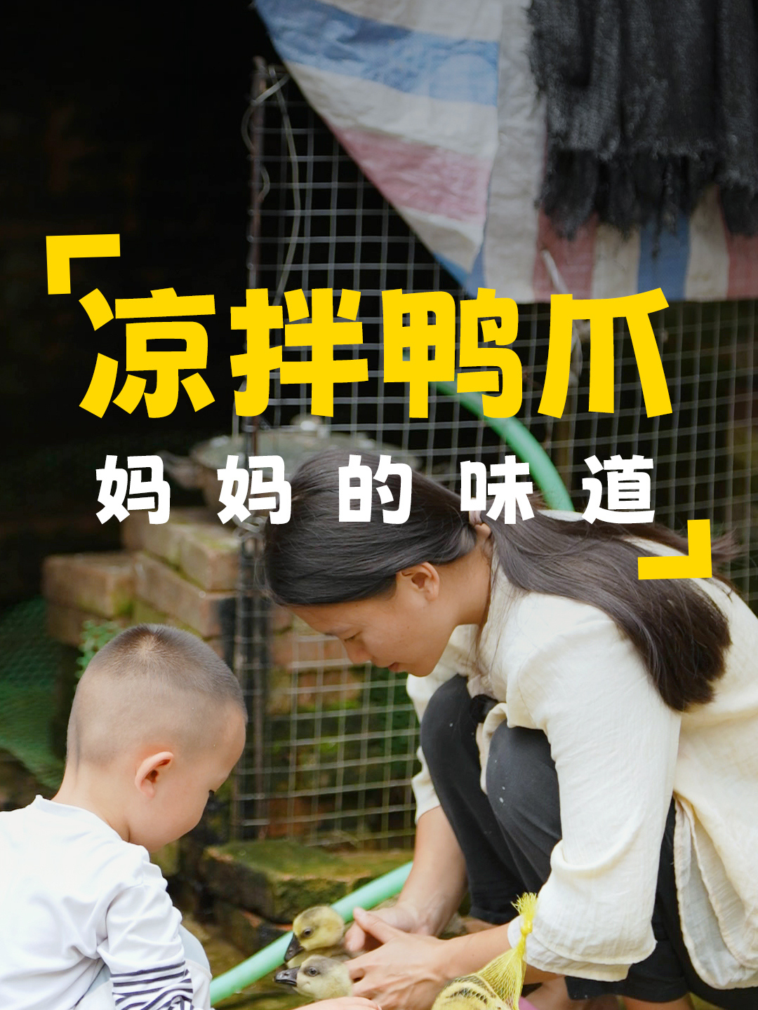 抓了一些小鹅和小鸭回来,期待它们快些长大,晚上做一道凉拌鸭爪