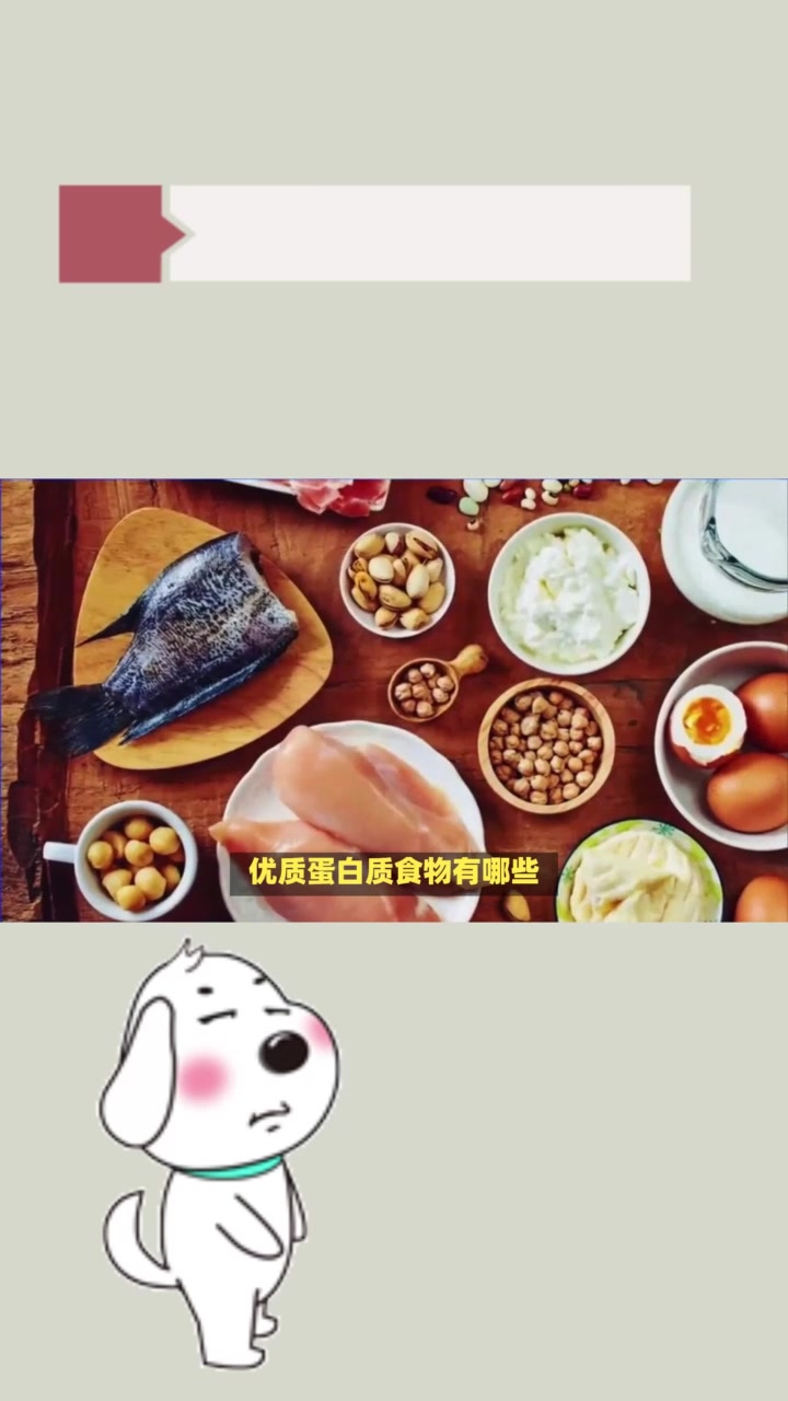 优质蛋白食物有哪些