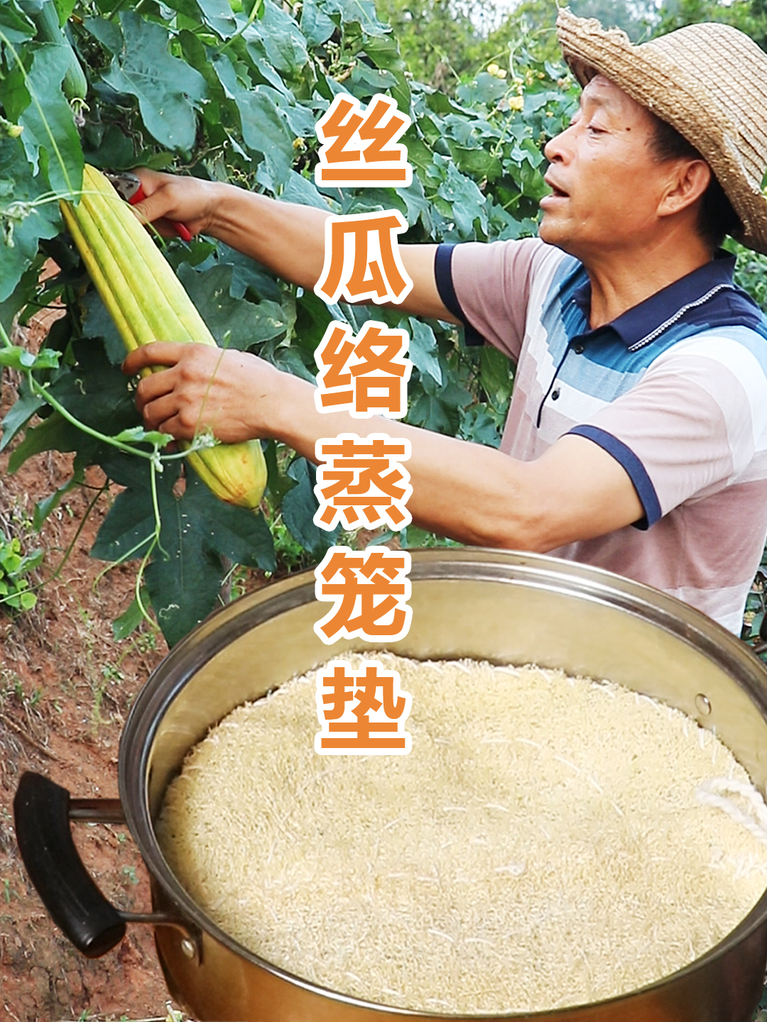 不要钱的丝瓜络居然有这么多用法,农村大叔用它做蒸笼垫健康好用