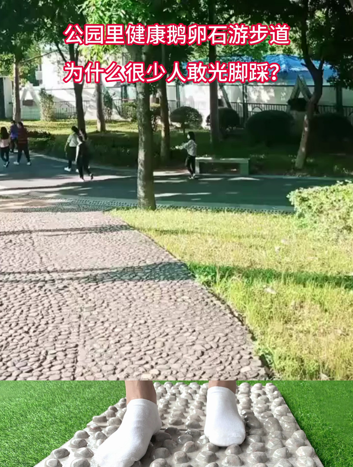 公园里的健康鹅卵石步道为什么那么多人不敢光脚踩?