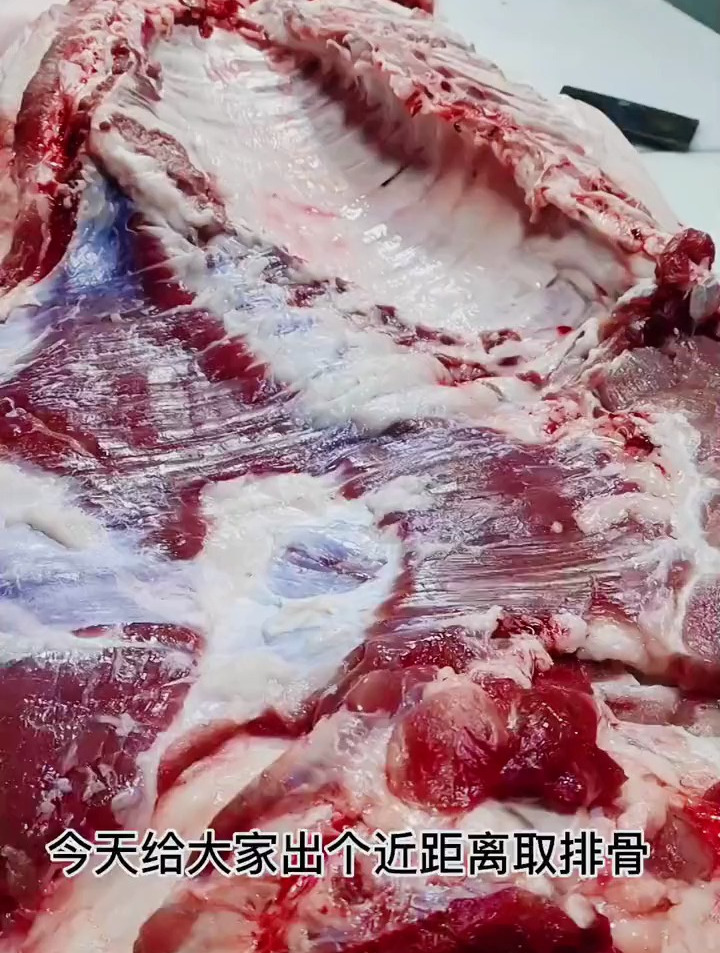 取排骨视频 创作灵感 猪肉 猪肉分割技巧