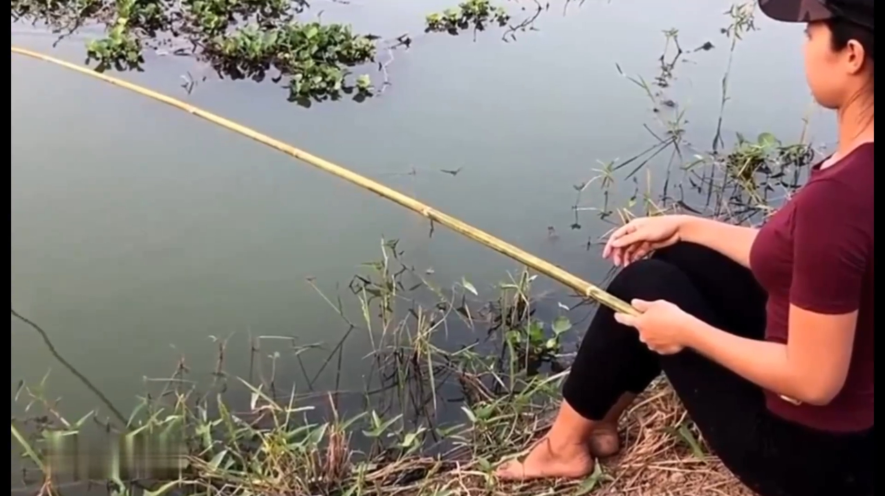 二姐一早买来新鲜猪肉做鱼饵料,户外钓到大野生蛇头鱼,收获满满