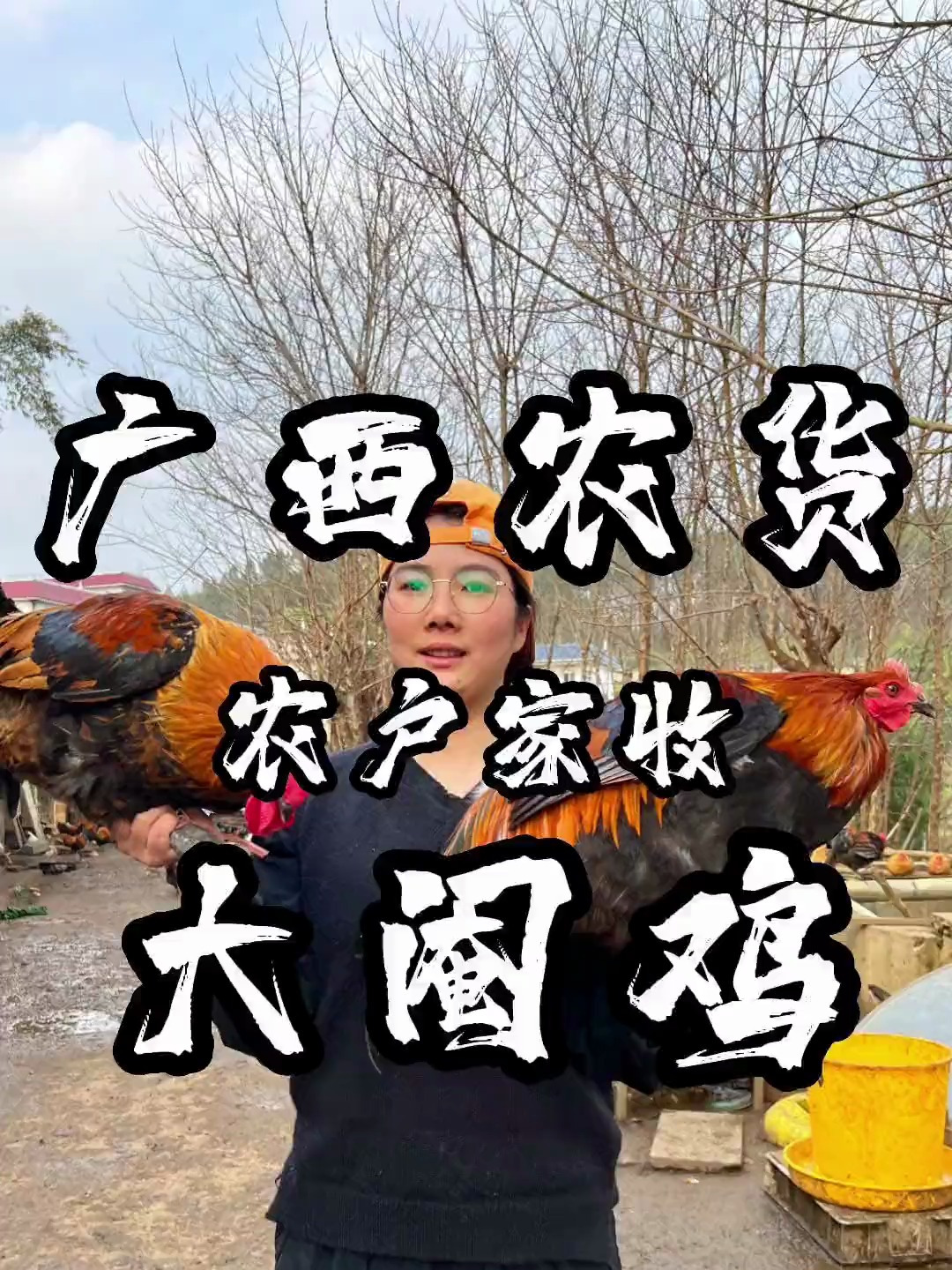 白切鸡,大阉鸡,白切大阉鸡,最喜欢的就是用大阉鸡做白切鸡