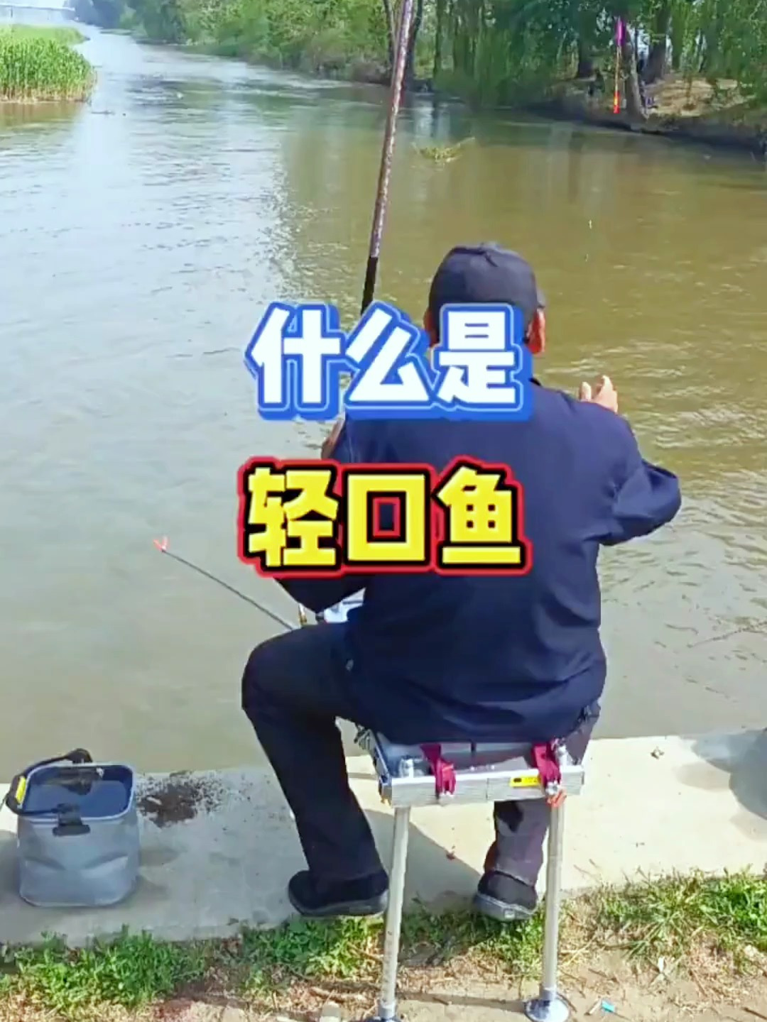 什么是轻口鱼,钓友们知道吗