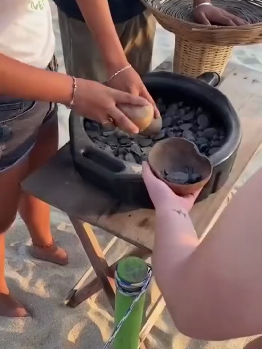 都是什么品种的乌龟