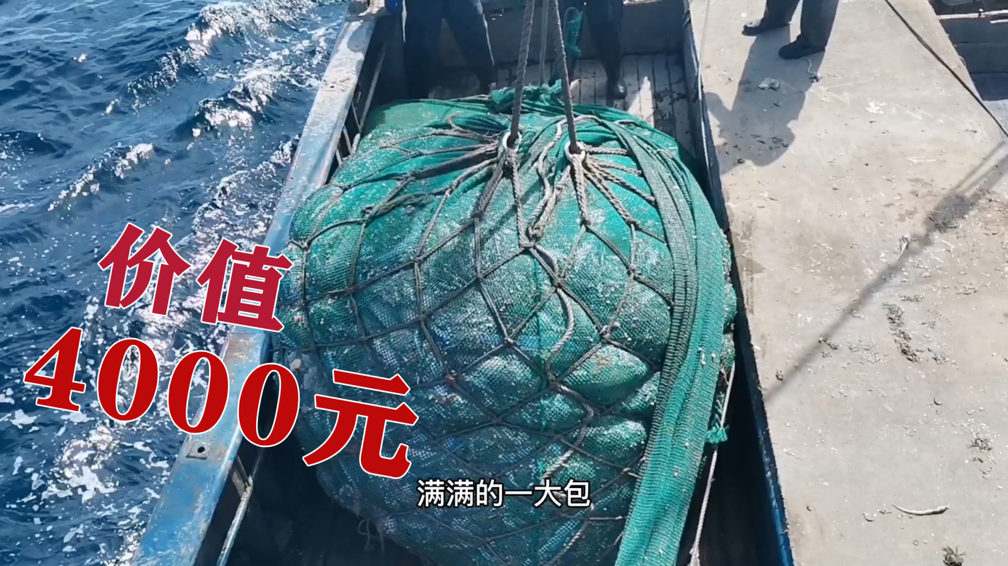 渔民捕到价值4000元海货,海鲜直接爆满半条船,海上忙得热火朝天