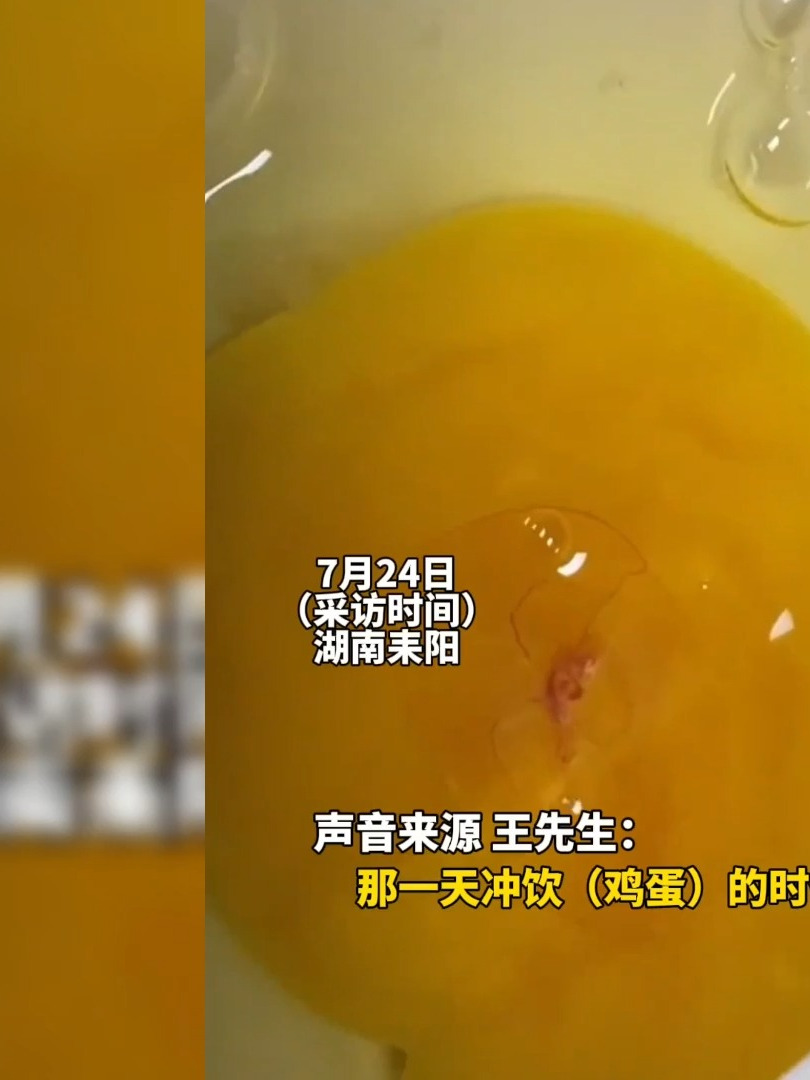 男子冲饮鸡蛋时发现蛋里已经有胎心,放在碗内孵化 现已长出眼睛 喙 脚
