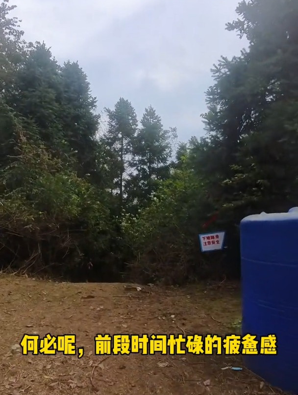 我的宁海速写,时隔6年再来宁海,再来跑宁海越野赛,还是挺满意