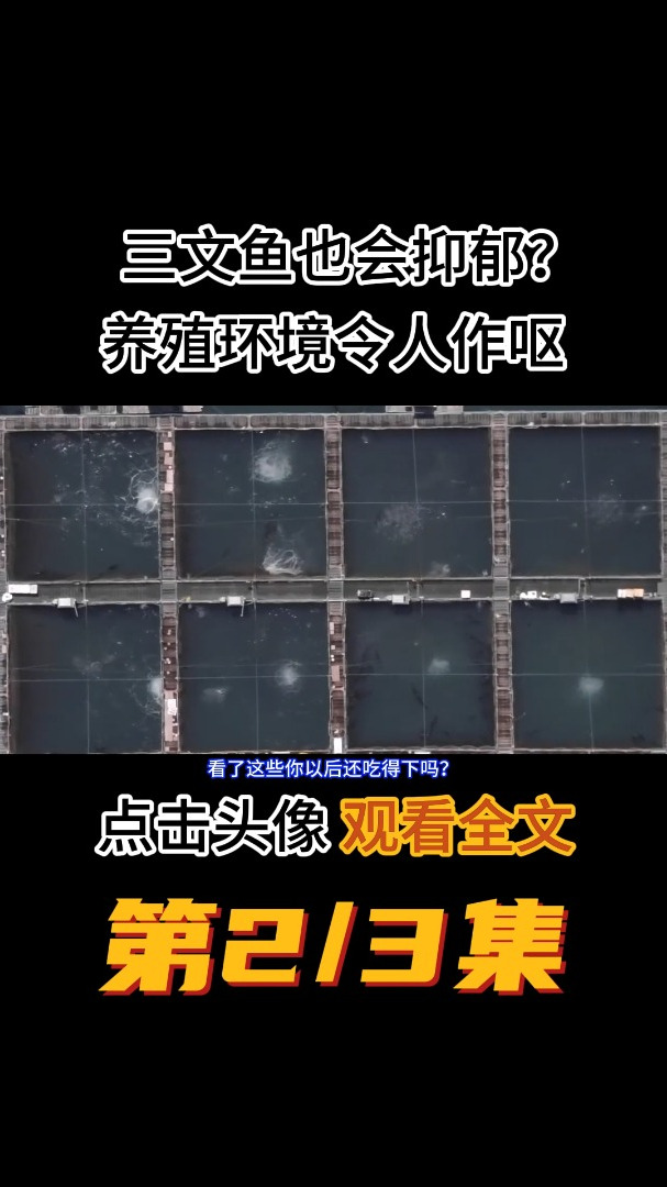 三文鱼竟然也会抑郁?挪威三文鱼养殖环境曝光,看完你还想吃吗?