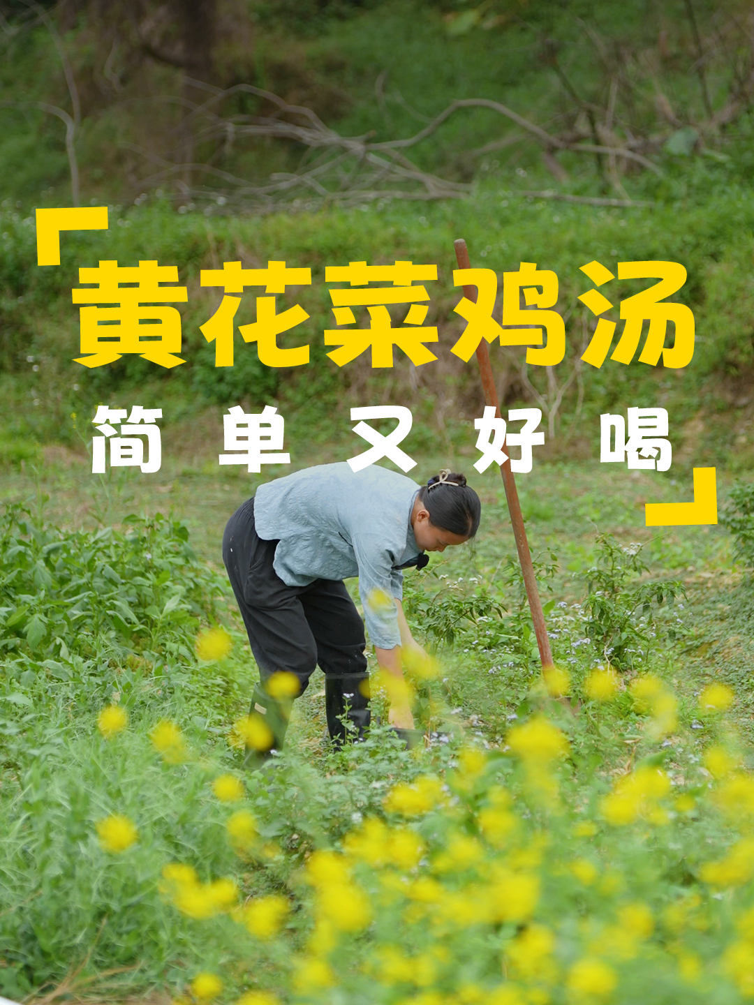 给地里的果树除一下草,晚上做一道黄花菜鸡汤,儿子可喜欢了