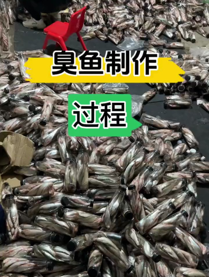 臭鱼钓鲶鱼支持批零原来钓鱼才是抖音运动顶流钓鱼的乐趣