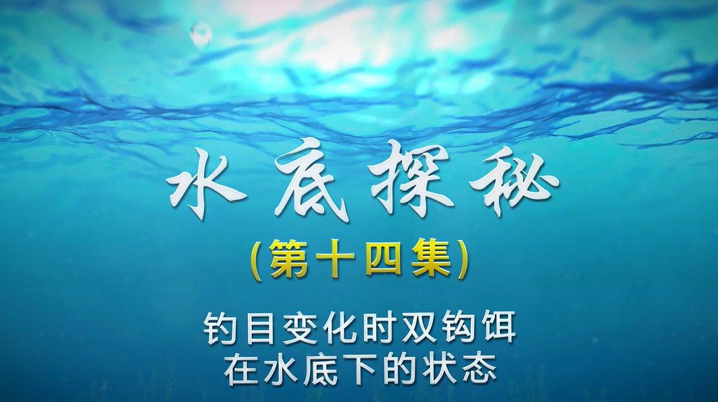 [图]《本汀之水底探秘 14集》钓目变化时双钩饵在水底下的状态