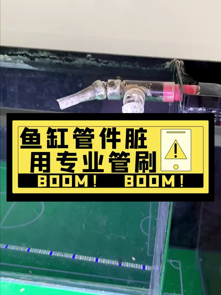 鱼缸管件脏了怎么清理?用好工具很轻松呀!