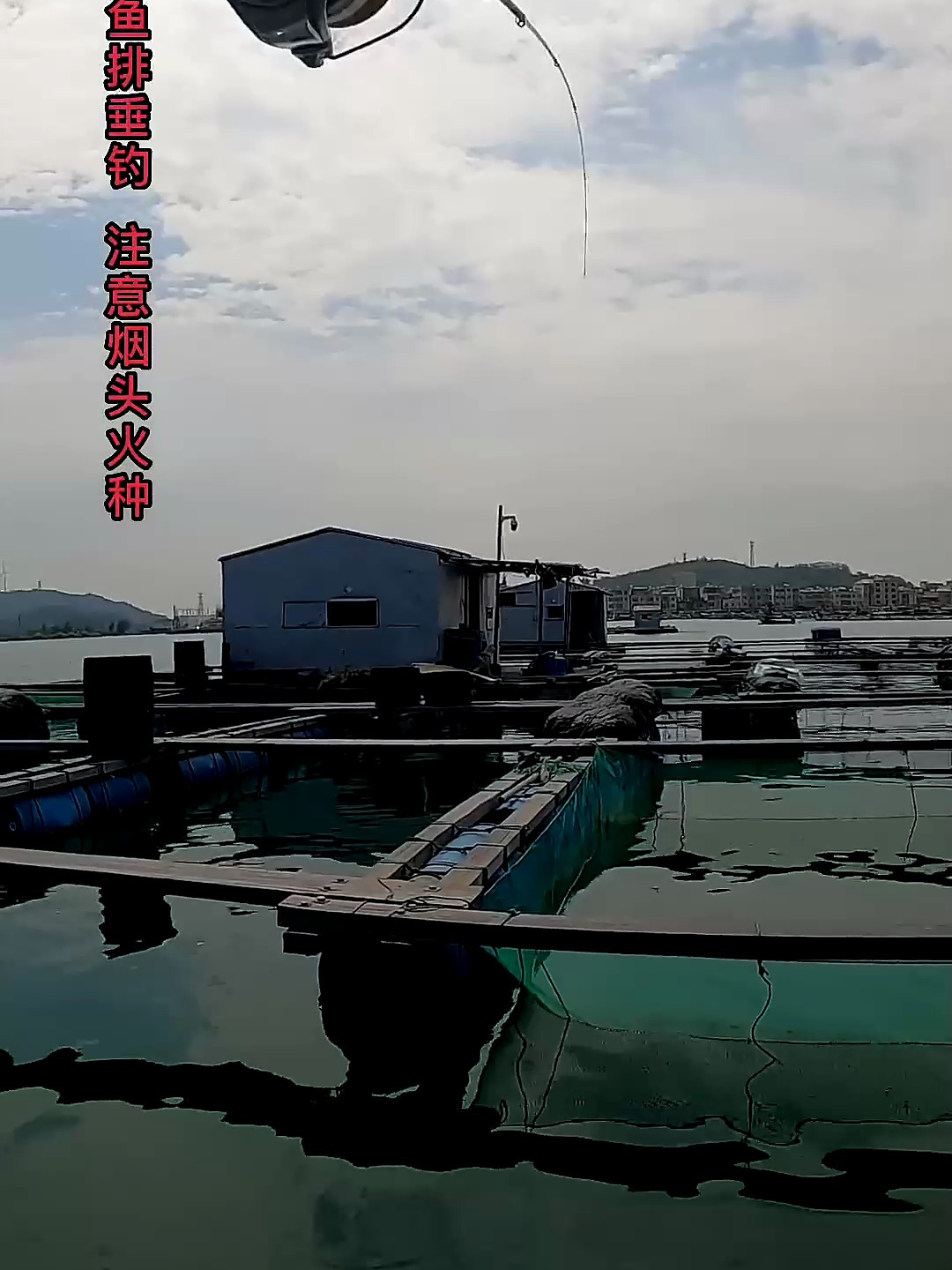 跟师父去一起打龟