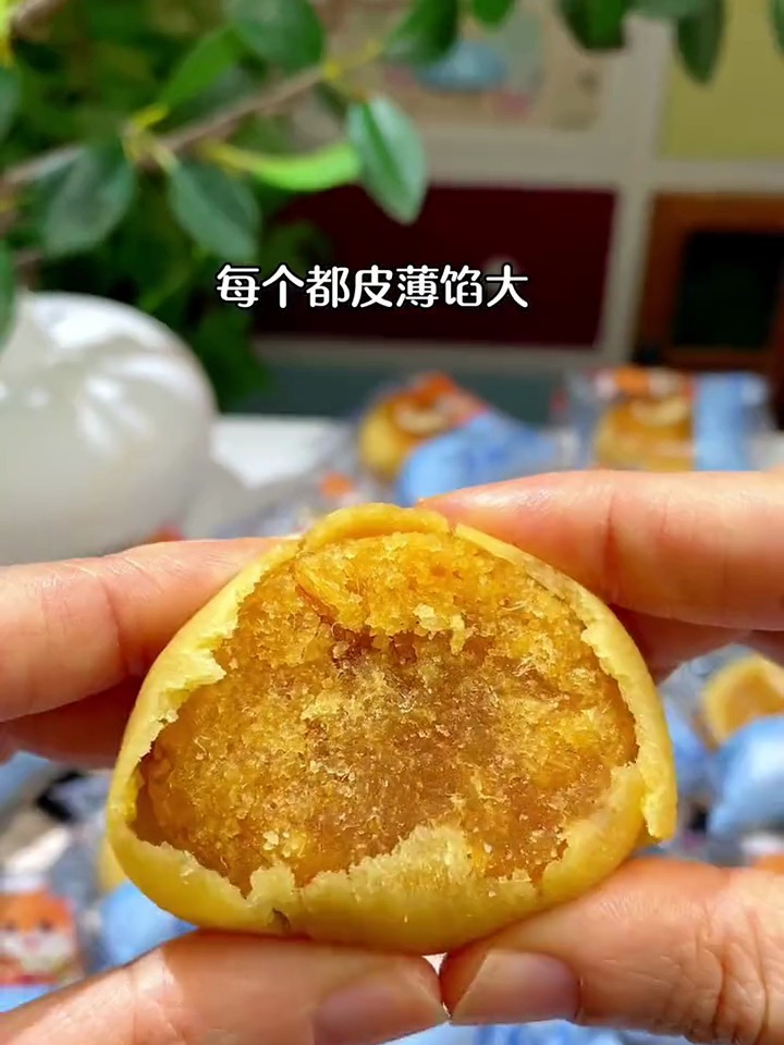 友臣肉松饼经典工艺糕点古早味咸香营养早餐整箱烘烤 肉松饼