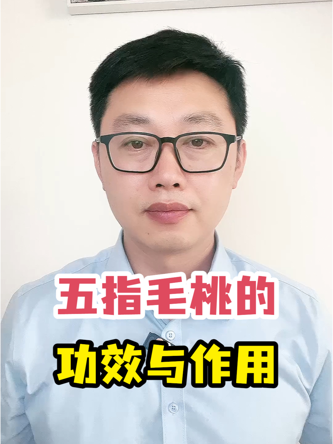 五指毛桃的功效与作用