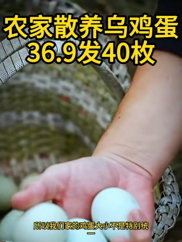 正宗绿壳蛋农家散养谷物蛋