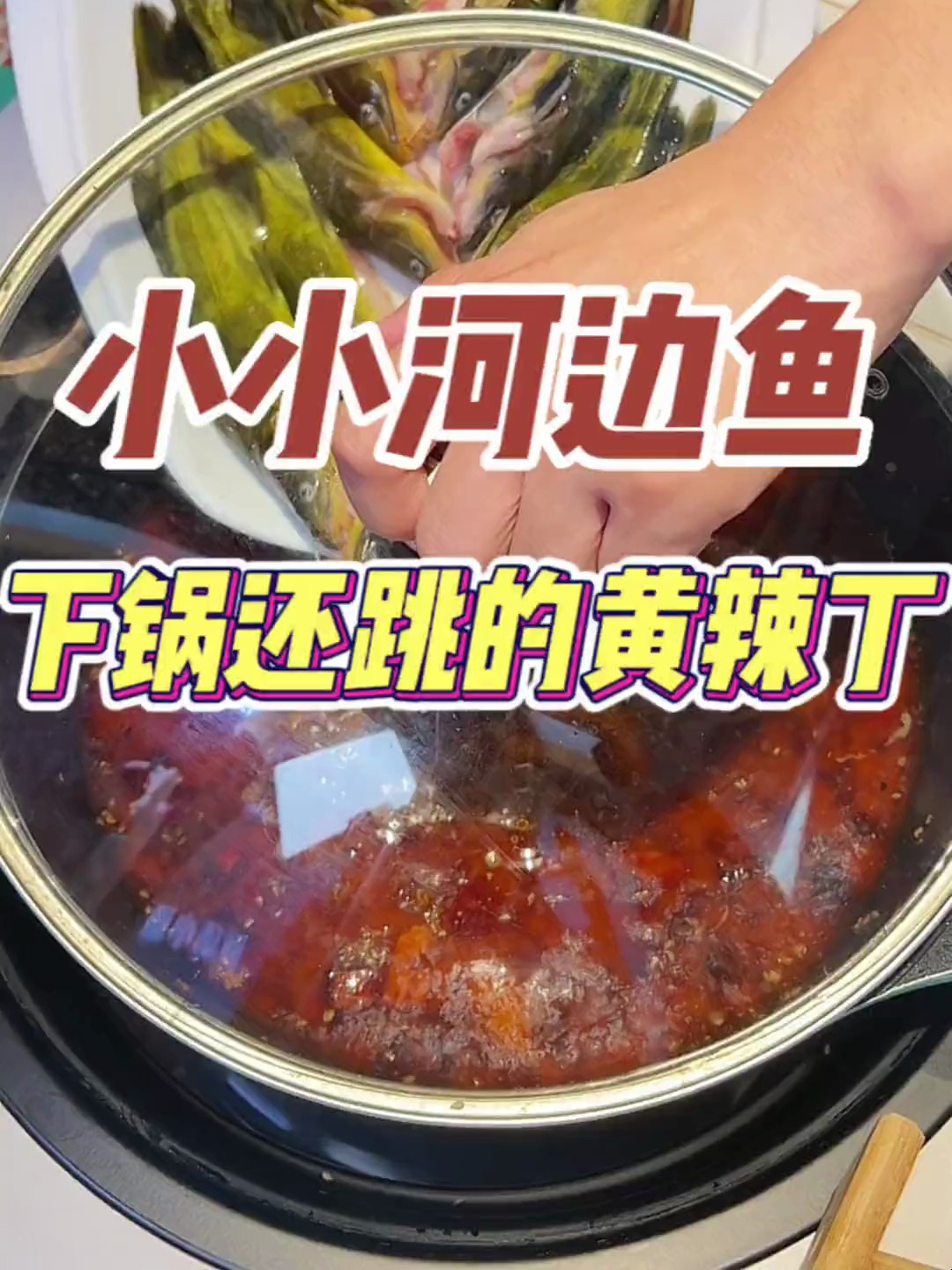 让我吃上下锅还在跳的黄辣丁鱼锅!