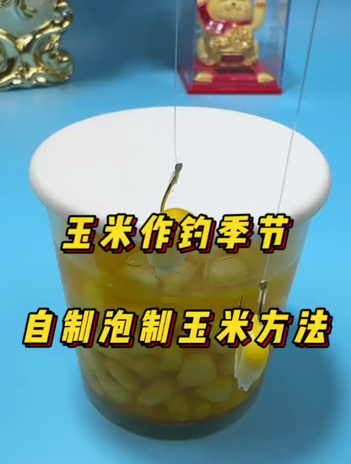 玉米是钓鱼的好材料,只需这样简单制作,夏季钓草鱼一钓一个准!