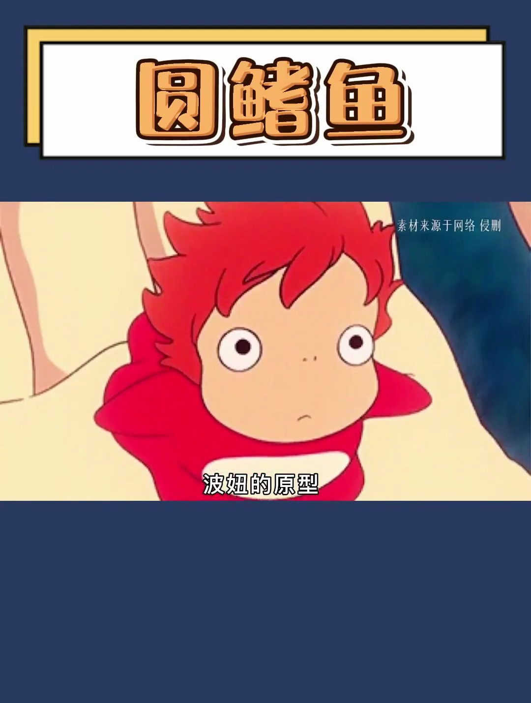 波妞本妞太平洋真圆鳍鱼!