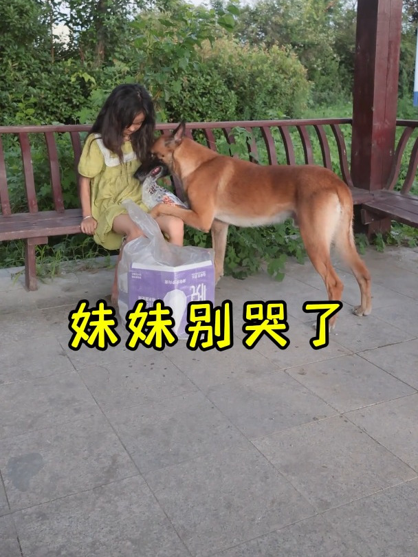 马户用交电费的钱给流浪的小妹妹买蛋糕,相信亮仔一定不会责怪它