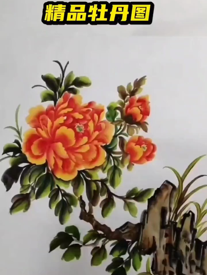 国画 牡丹 精品牡丹图