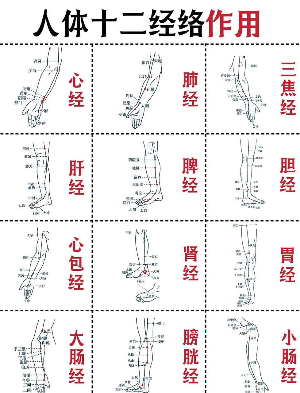 人体经络的神奇功效,大多数人都不知道