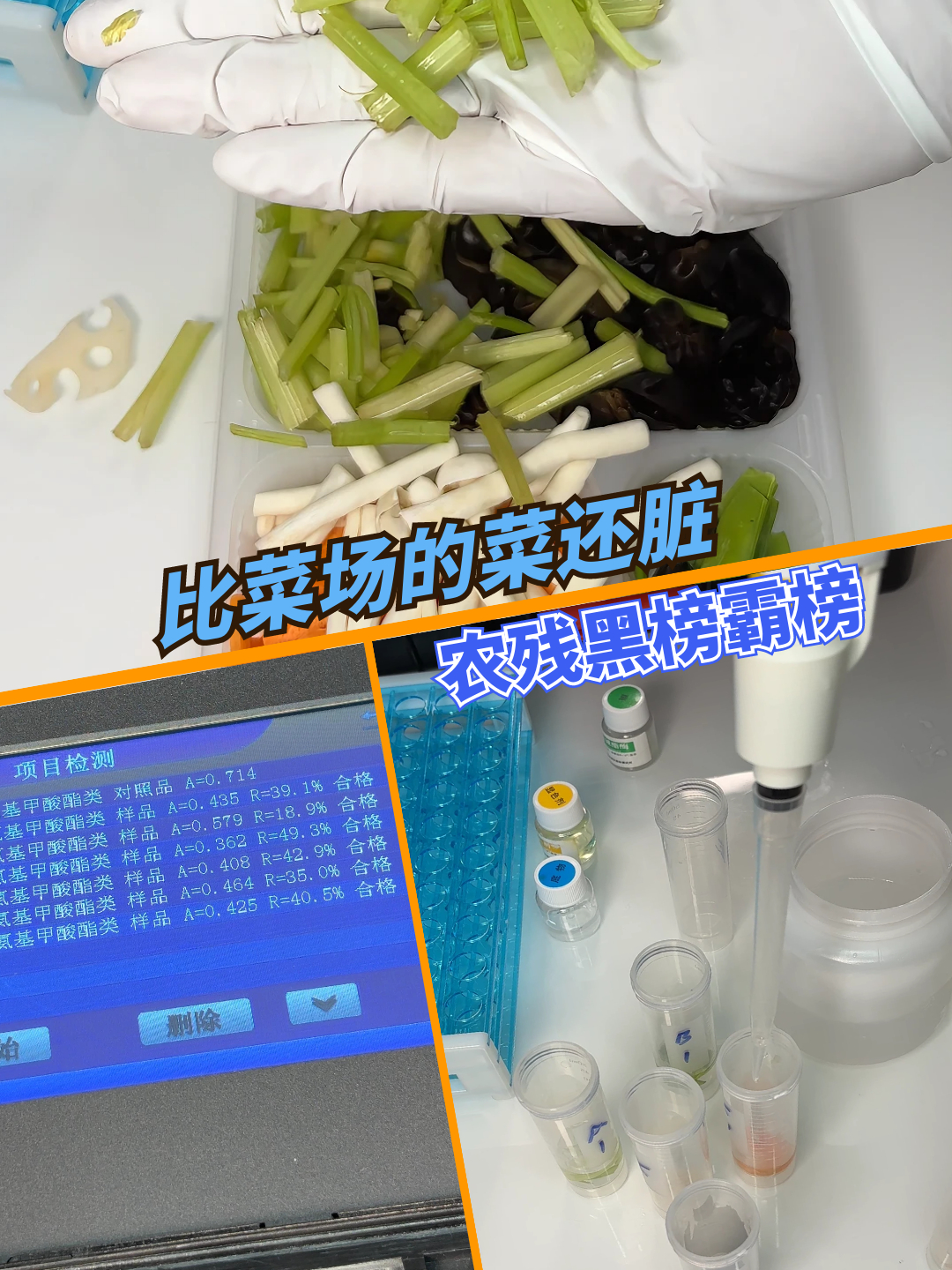 净菜啊净菜 你这么脏农残这么高 怎么好意思让我不用洗