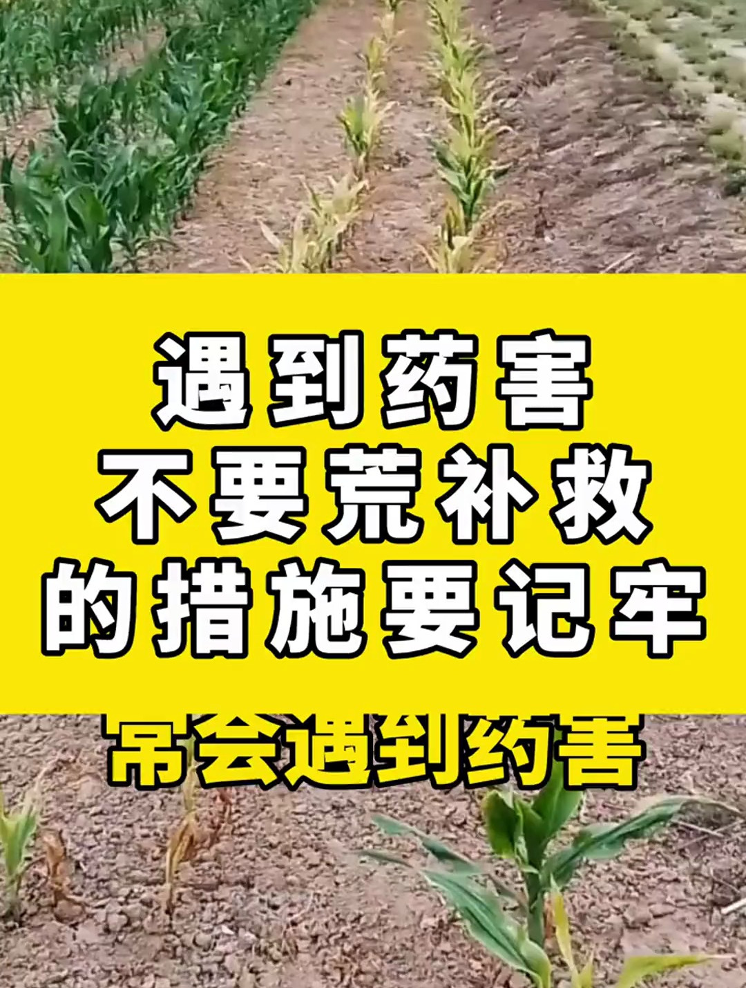 遇到药害,记住这几个补救措施