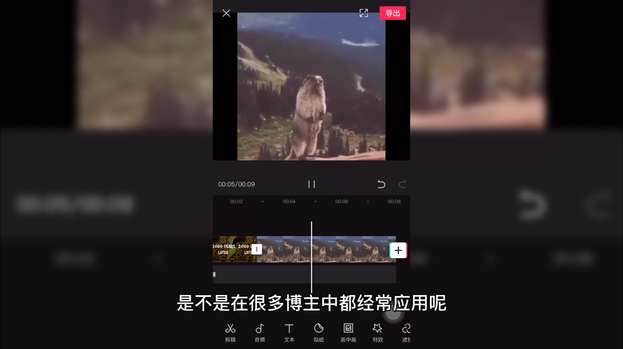 新手如何寻找常用视频素材?原来这里就有,不用到处找