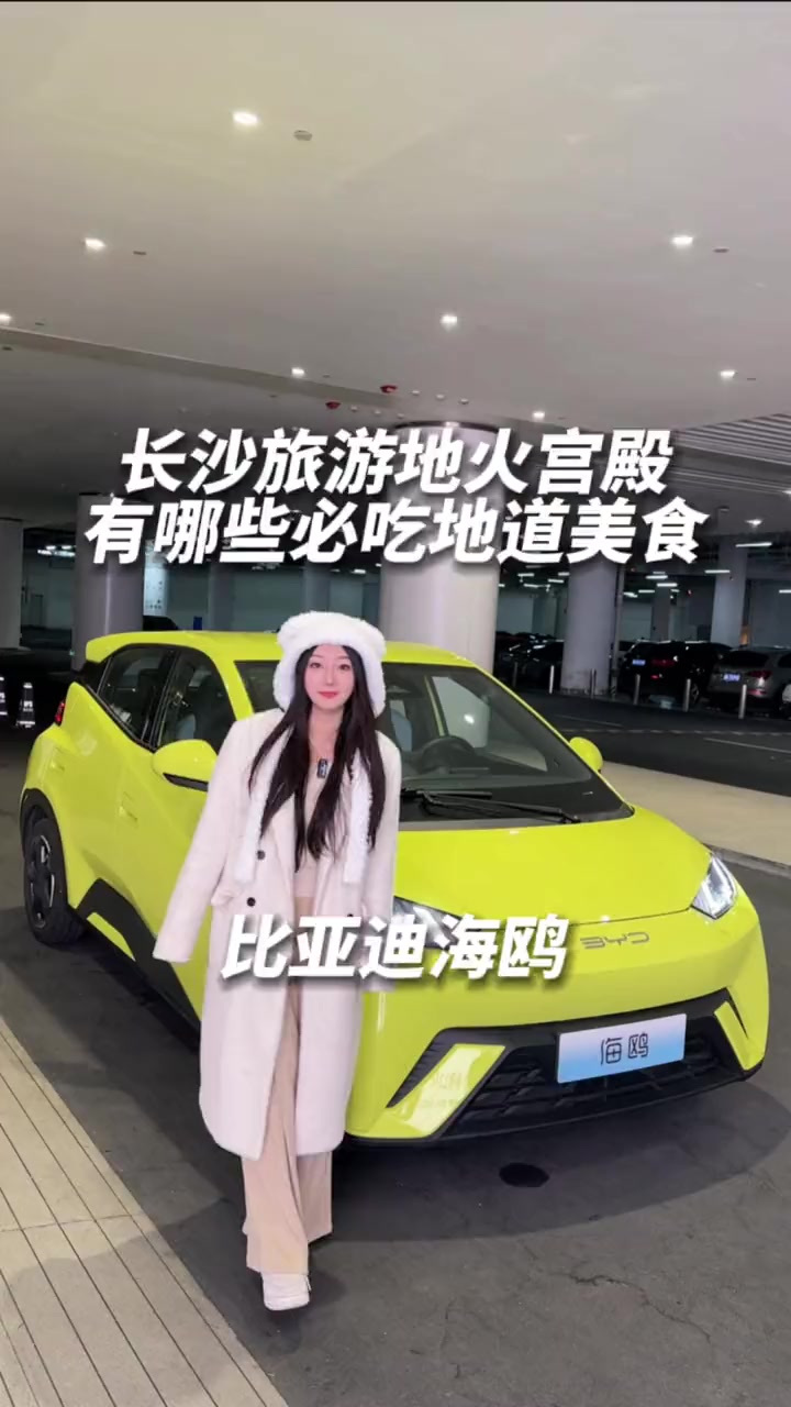 和比亚迪海鸥一起勇闯长沙必去榜火宫殿,看看值不值得打卡