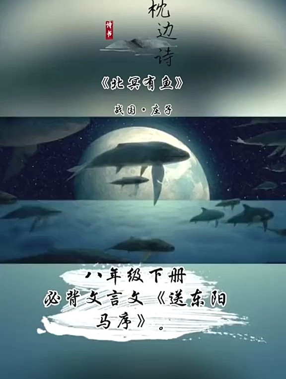 八年级下册必背《北冥有鱼》。本应椿花湫月,奈何北冥有鱼