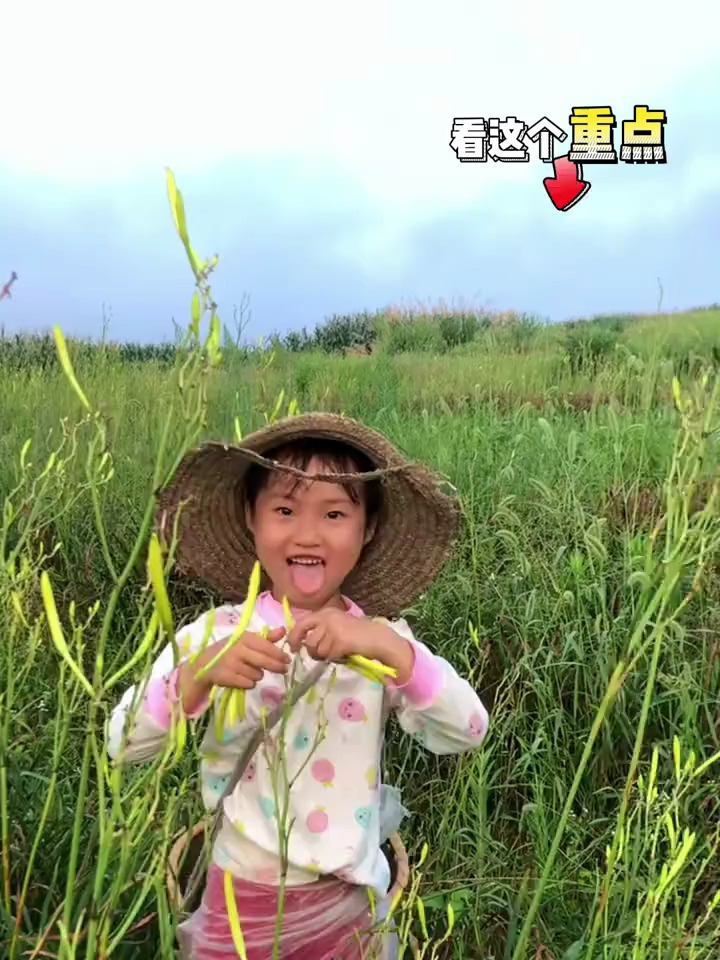 黄花菜产量高,营养赛过牛羊肉,现在正是种的好季节
