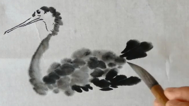 国画教程:鸬鹚怎样画,我来详细讲