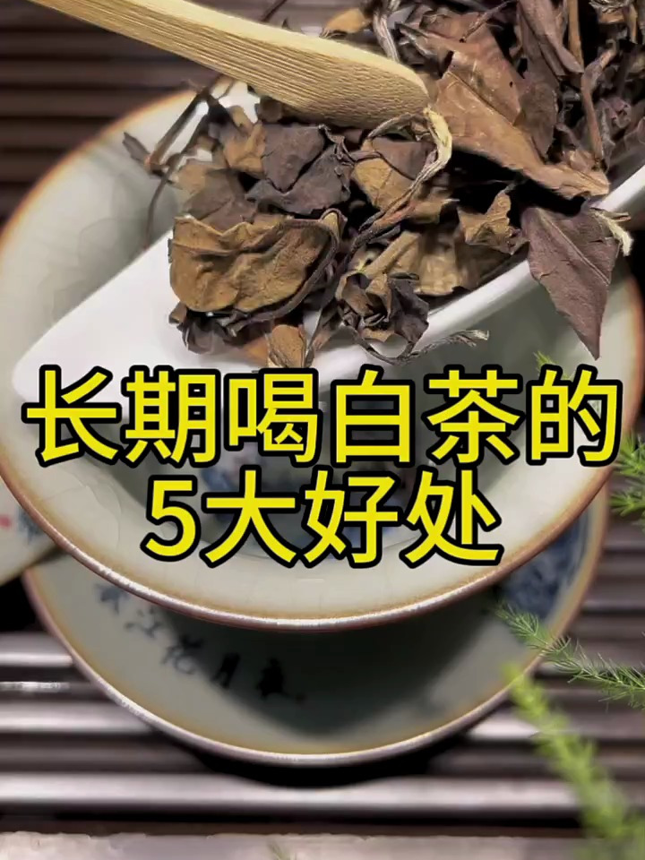 长期喝白茶的5大好处