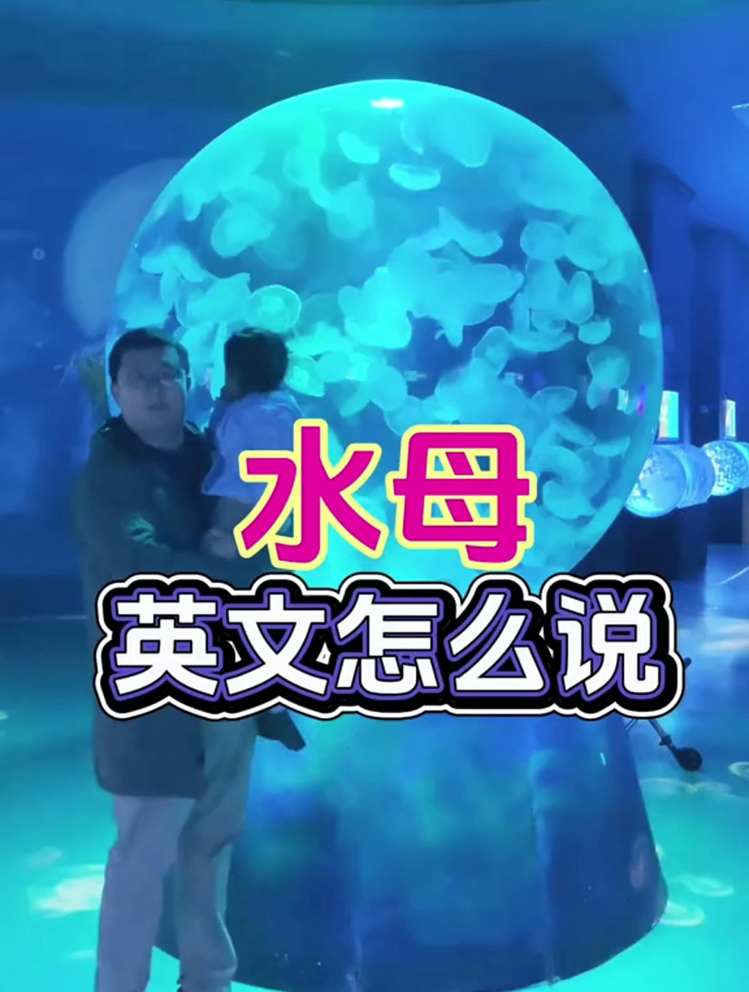 水母英文怎么说?