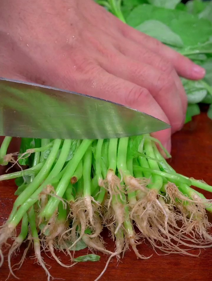 苋菜上汤,有汤有菜你爱没爱