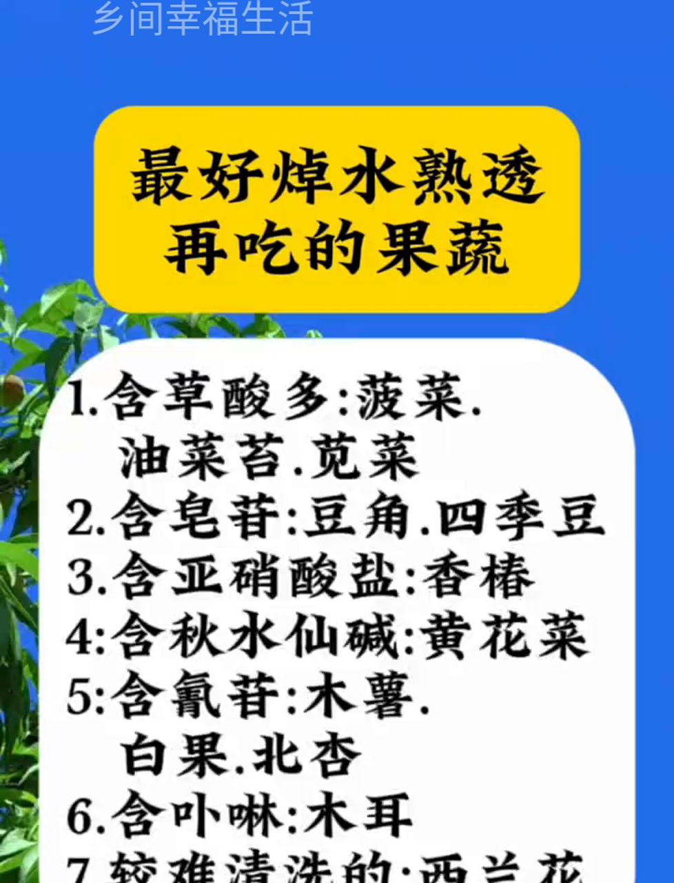 吃前得先焯水炒一炒,这样食物才安全哦