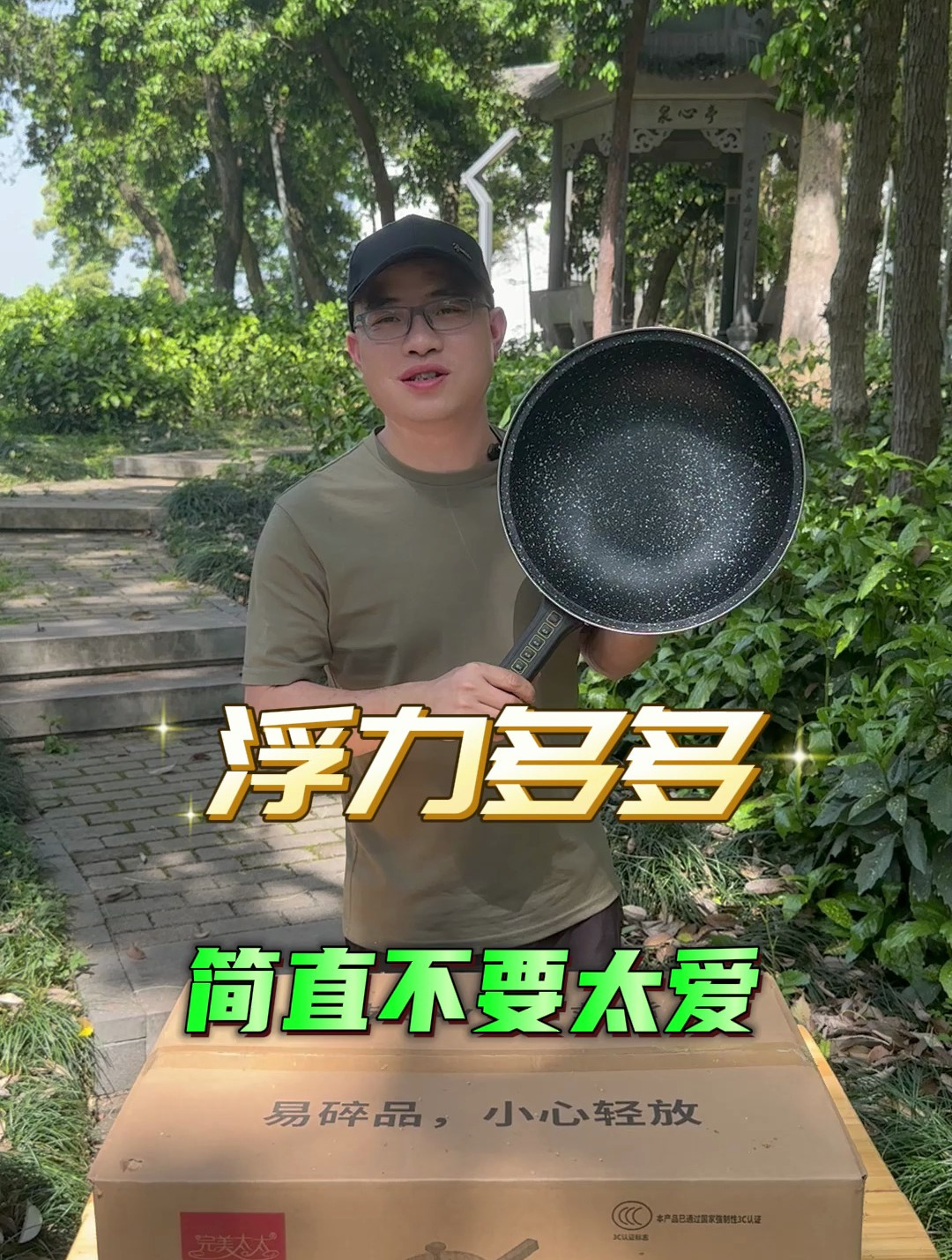 完美太太多功能一体电炒锅,蒸煮焖炖炸一锅多用
