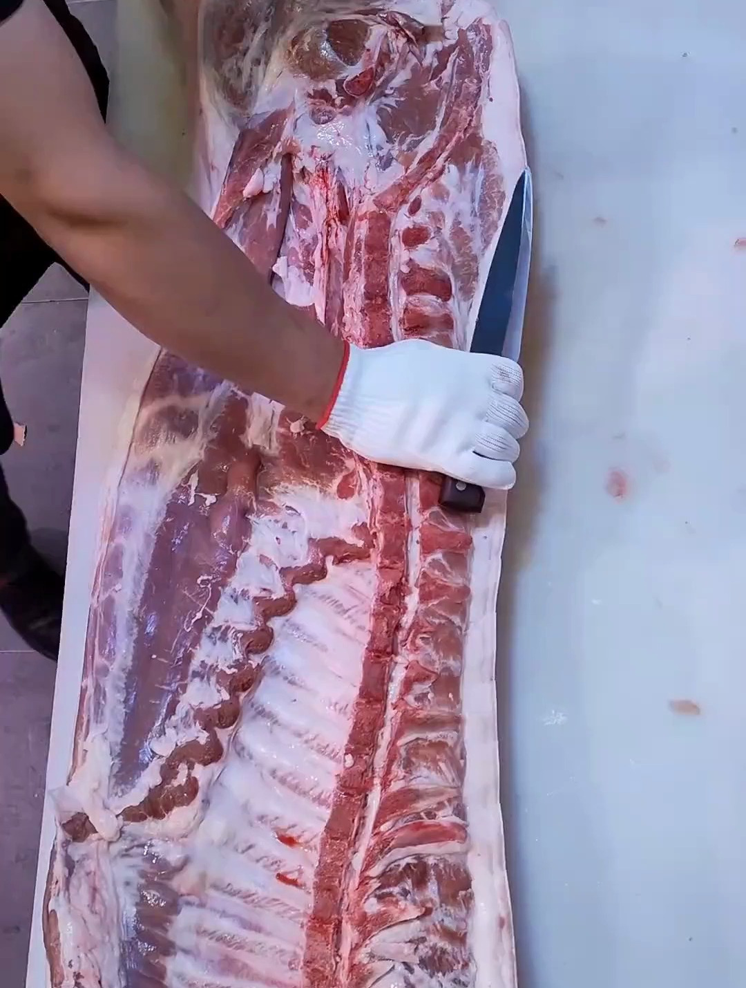 猪肉 分割 技巧