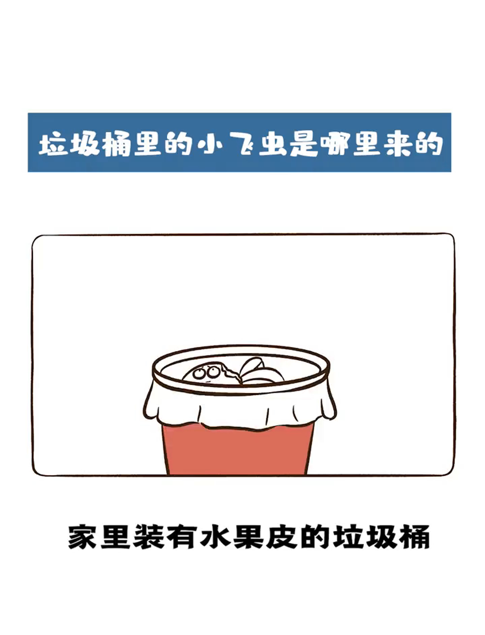 垃圾桶里凭空冒出来的小飞虫到底是什么?