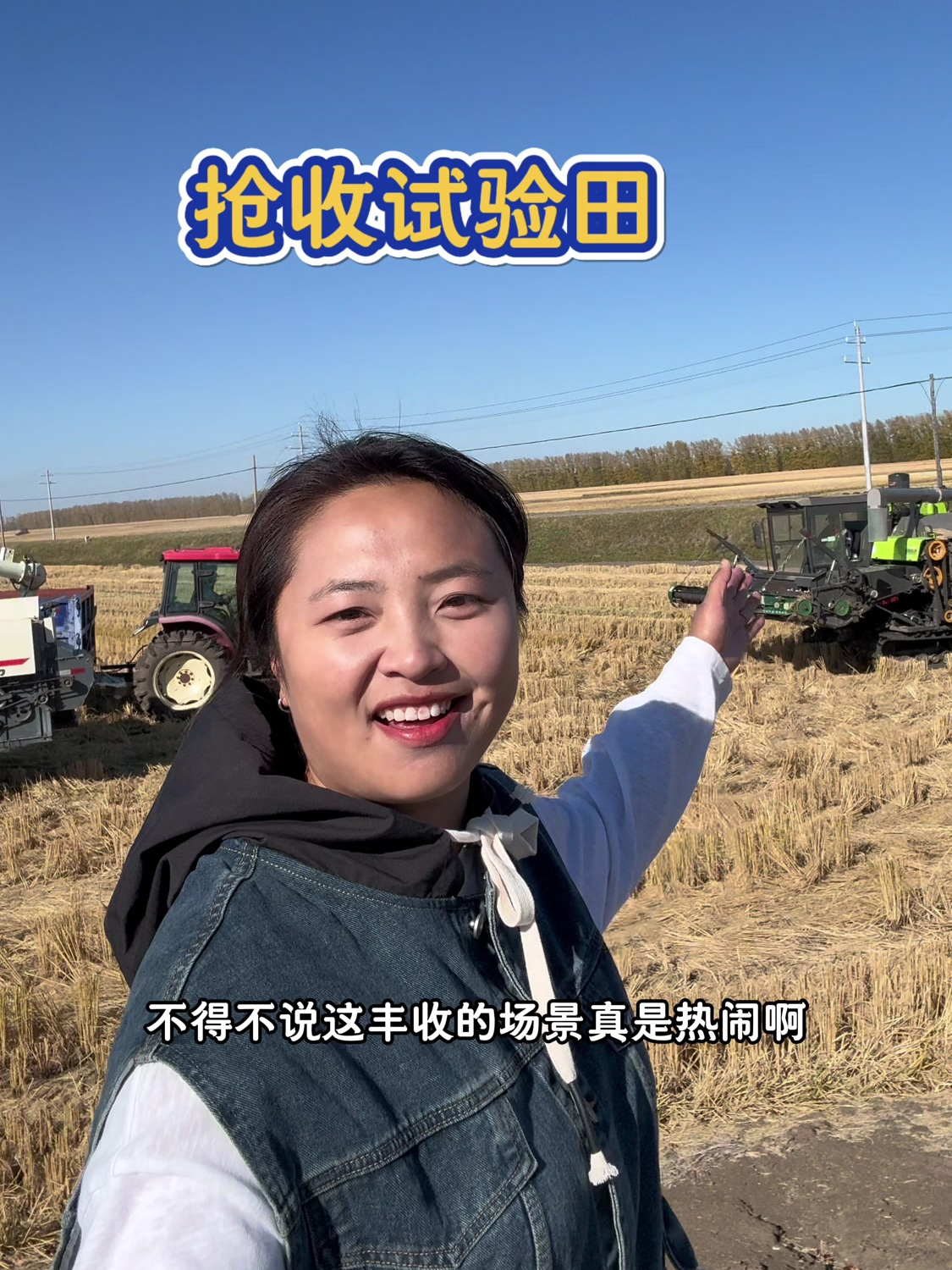 农场今年尝试种了新品种:红米绿米黑米还有稻花香,抓紧抢收回仓